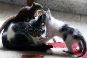 ����� � �����